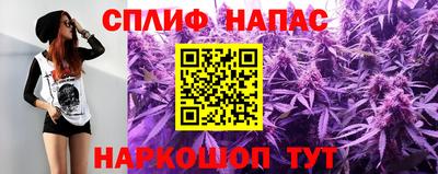 шишки Шелехов
