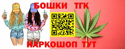 тгк Шебекино