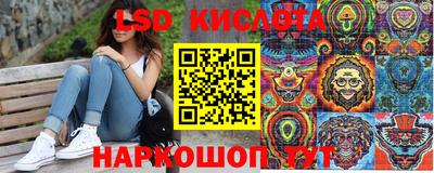шишки Шелехов