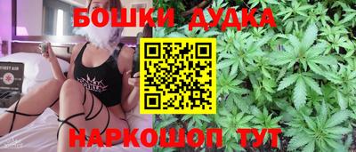 шишки Шелехов