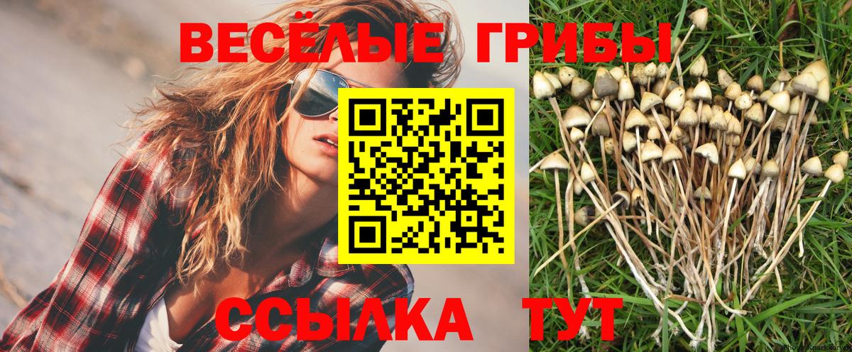 Владивосток  Галлюциногенные грибы MAGIC MUSHROOMS  Вход с VPN 