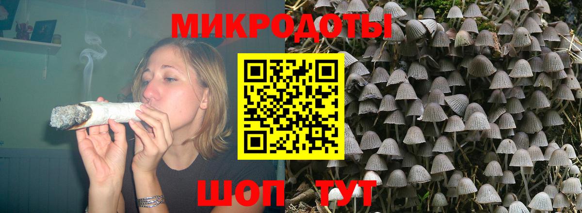 Галлюциногенные грибы GOLDEN TEACHER Владивосток